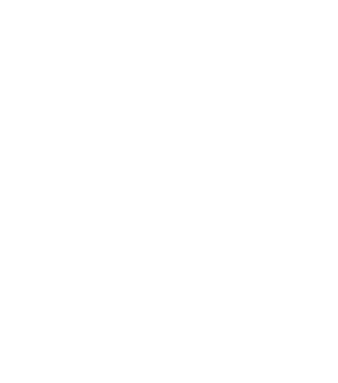 SKYBOATS Logo